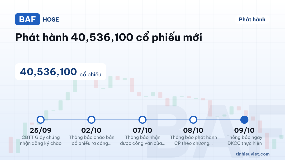 BAF: BAF: Phát hành 40,536,100 cổ phiếu mới