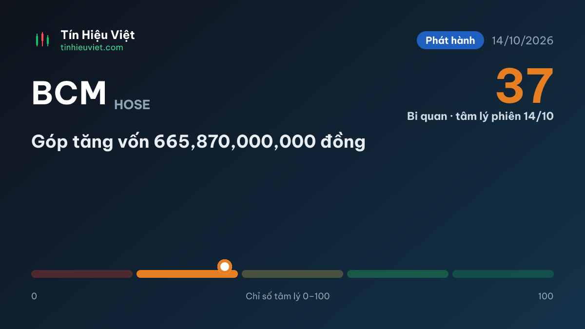 BCM: BCM: Góp tăng vốn 665,870,000,000 đồng