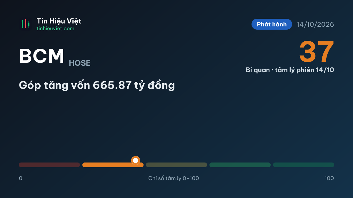 BCM: Góp tăng vốn 665.87 tỷ đồng