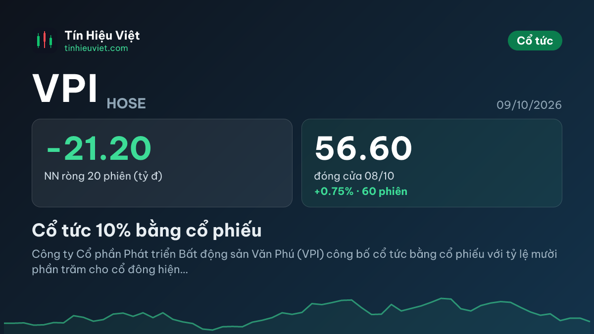 VPI: VPI: Cổ tức 10% bằng cổ phiếu